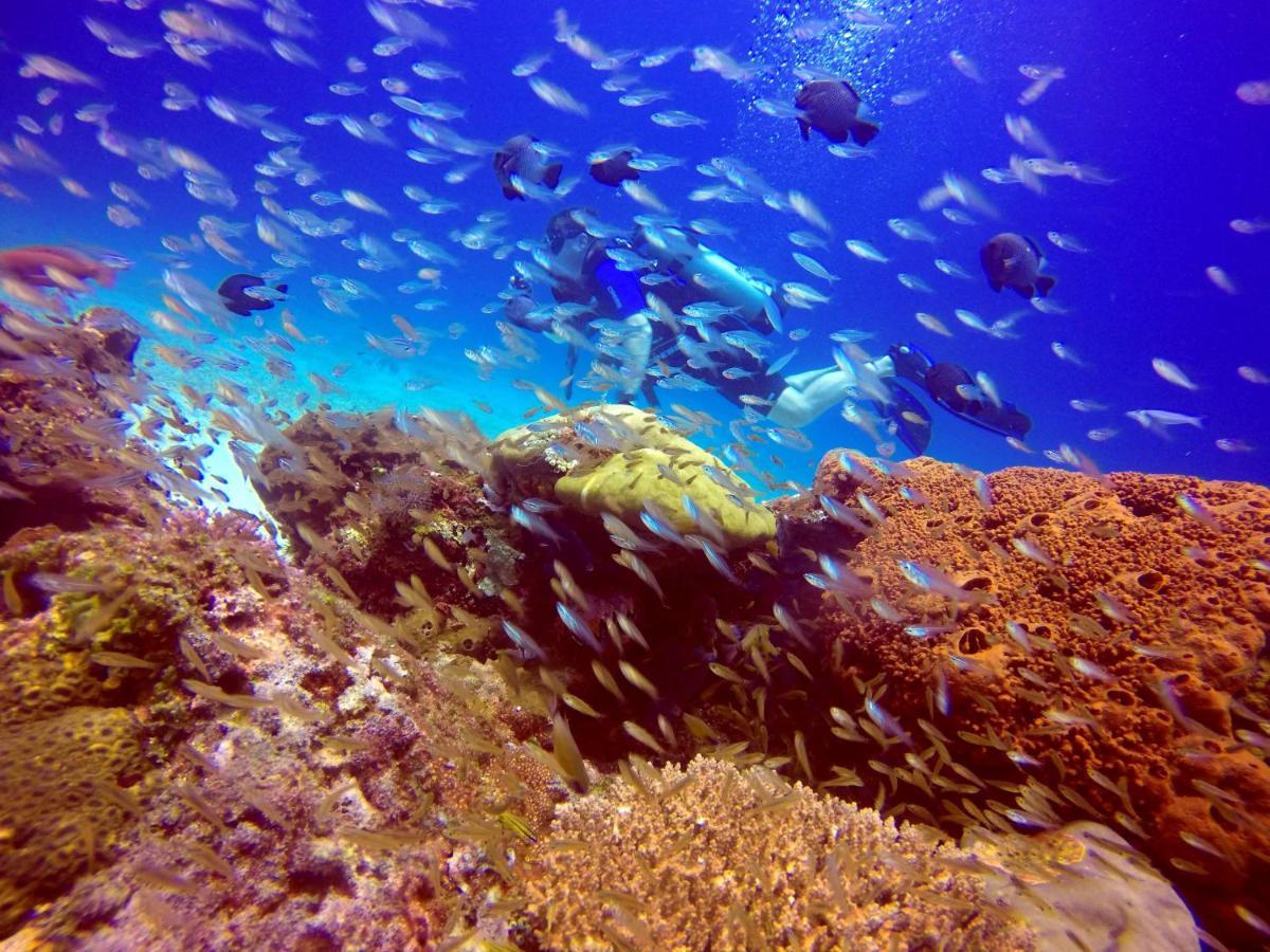 Anema Wellness & Resort Gili Lombok - Diving Center Padi Tanjung  Zewnętrze zdjęcie