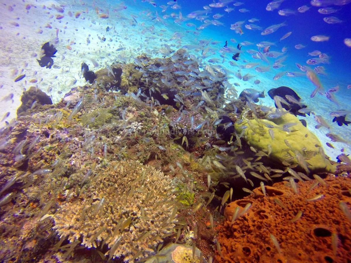 Anema Wellness & Resort Gili Lombok - Diving Center Padi Tanjung  Zewnętrze zdjęcie